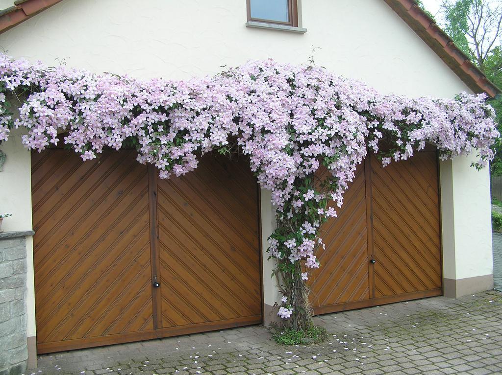 Ferienwohnung Am Alten Berg 옥센푸르트 외부 사진